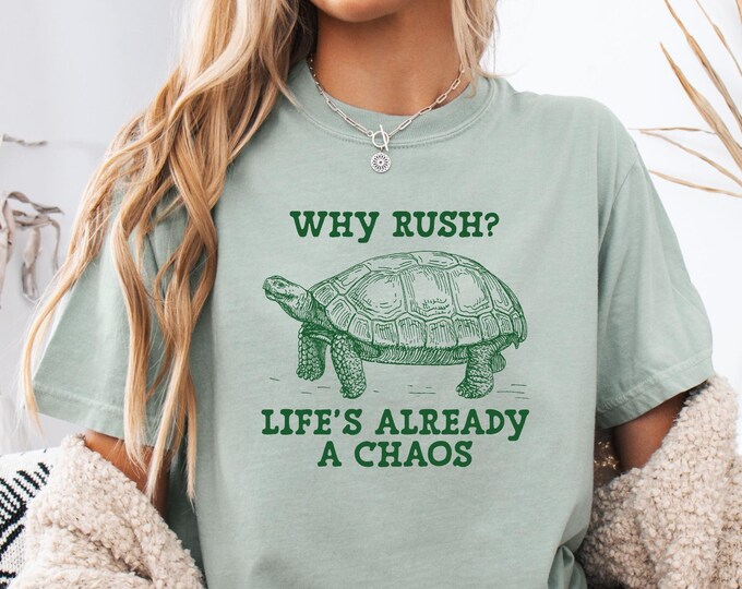 Why Rush Life's Already a Chaos Turtle Shirt, Comfort Colors Turtle Chaos Shirt