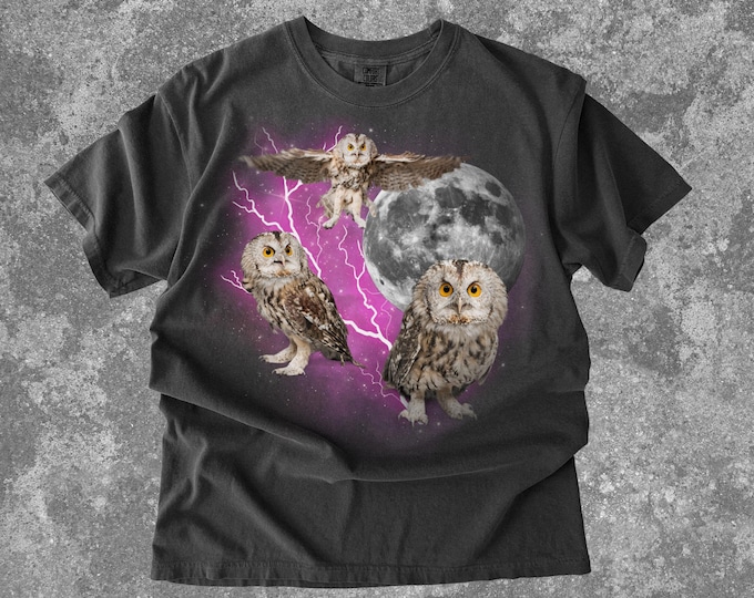 Three Owls Retro Graphic Tshirt, Vintage Moon Owl Shirt, Eagle Owl Lovers Gift Tee, Funny Birding Tshirt, Oversized Owl Tee