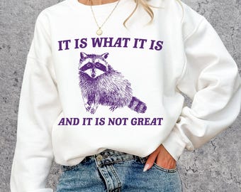 It Is What It Is and Its not Great Raccoon Meme Sweatshirt Crewneck