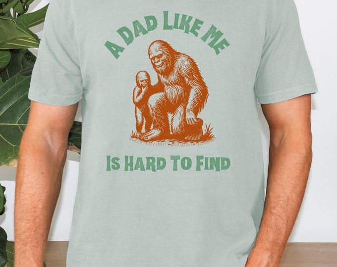 A Dad Like Me Is Hard To Find T-Shirt, Popular Fathers Day Shirt, Fathers Day Gift, Cool Dad Gift