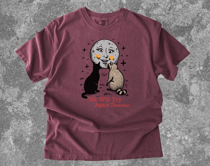 It's Okay We Will Try Again Tomorrow Shirt, Comfort Colors Moon Raccoon Cat Shirt, Forgiveness shirt