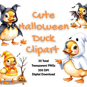 Cute Halloween Duck Clipart Pack - 30 PNGs 300 DPI Transparent Ducks in Costumes for Junk Journal Scrapbooking Commercial Use