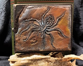 Hairy Spider Trick or Treat