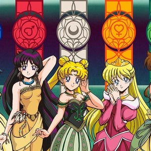 Sailor Moon as Disney Princesses Fan Art 11 x 17