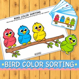 Bird Color Sorting Activity | Preschool Matching Game (Digital Download)