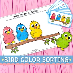 Bird Color Sorting Activity | Preschool Matching Game (Digital Download)