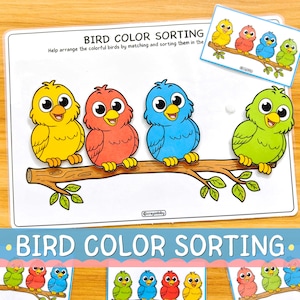May include: A bird color sorting activity sheet featuring a cartoon illustration of a yellow, red, blue, and green bird perched on a brown branch. The text reads BIRD COLOR SORTING and Help arrange the colorful birds by matching and sorting them.