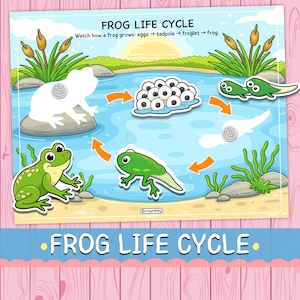 Afdrukbare levenscyclus kikker | Voorschoolse wetenschappelijke leeractiviteit (pdf-download)