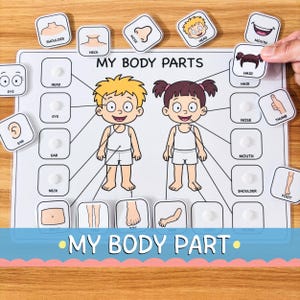 Peut inclure: Un tableau éducatif intitulé MY BODY PARTS illustrant un garçon et une fille. Le support comprend plusieurs tuiles carrées avec des étiquettes telles que SHOULDER, NECK, NOSE, HEAD, MOUTH, EYE, EAR, HAIR, THUMB, BELLY, KNEE, TOE, ARM et FOOT.
