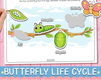 Butterfly Life Cycle Printable | Montessori Science Activity (PDF Download)