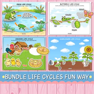 May include: Four educational charts showing life cycles: frog, butterfly, chicken, and sunflower. Each chart has colourful illustrations and text explaining the stages of development. The bottom of the image reads "BUNDLE LIFE CYCLES FUN WAY."