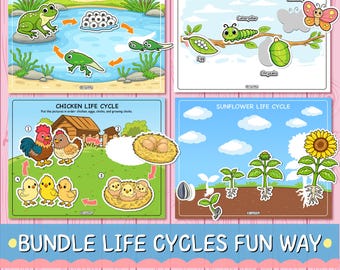 Afdrukbare bundel levenscyclus | Activiteiten kikker, vlinder, kip, zonnebloem (digitale download)