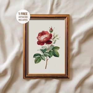 Vintage Red Rose Print, Botanical Rose Art, Red Flower Wall Art, Vintage Botanical Illustration, Printable Wall Decor, Digital Download