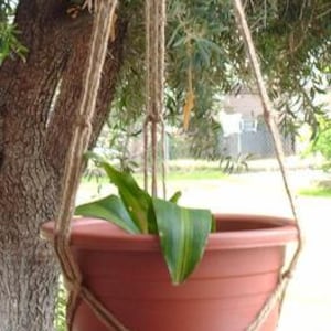 May include: A terracotta pot with a green plant hanging from a macrame plant hanger made of natural twine.