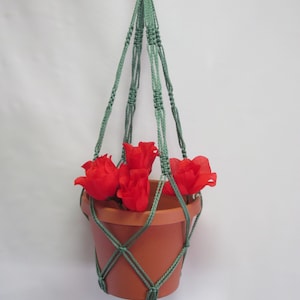 May include: A green macrame plant hanger with a terracotta pot and red silk flowers.