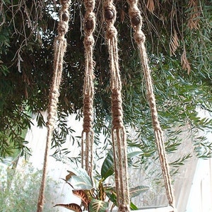 May include: A brown terracotta pot with a green plant hanging from a macrame plant hanger with brown wooden beads. The hanger is made of natural jute rope and has a tassel at the bottom.