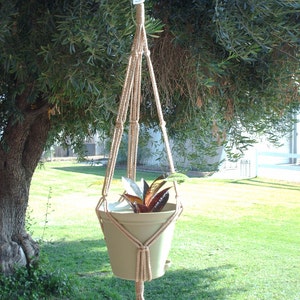 May include: A macrame plant hanger with a beige pot and a green plant with brown leaves hanging from a tree branch.