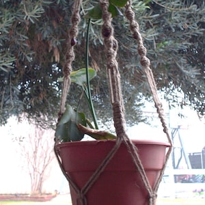 May include: A brown macrame plant hanger with a terracotta pot and a green plant hanging from it. The hanger is made of natural fiber rope and has a decorative knot at the bottom.