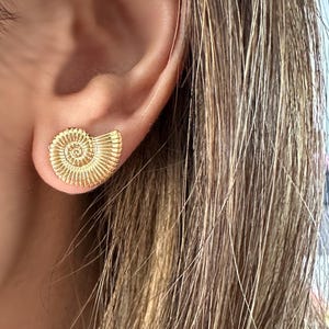 Gold Sea Shell Stud Earrings: 18k Gold Filled Jewelry