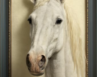 Custom Needle Felted Horse Portrait - Framed Wool Pet Memorial