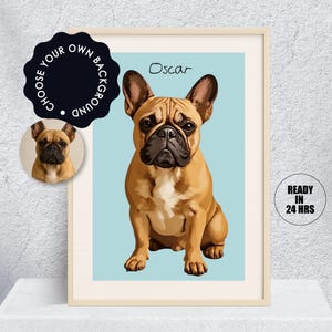 Custom Pet Cartoon Portrait, Cat & Dog Portrait From Photo, Pet Gift, Pet Cartoon Style, Custom Cat Gift, Digital Illustration Art Prints