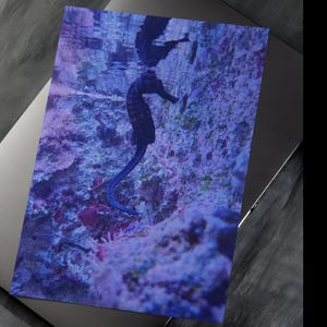 Peut inclure: Une impression représentant un hippocampe dans un environnement marin. L'hippocampe est sombre, avec une longue queue enroulée. L'arrière-plan est un mélange vibrant de bleus, de violets et de rouges, suggérant des coraux et la vie sous-marine. L'impression est sur une surface rectangulaire.