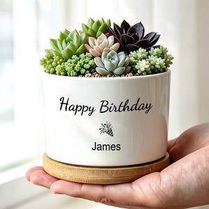 May include: A white ceramic planter with a bamboo base containing a variety of green, pink, and dark purple succulents. The planter features the black text Happy Birthday, a small party hat icon, and the name James printed on the front surface.