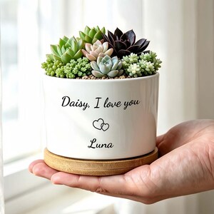 Op de afbeelding: Een witte keramische plantenpot met een bamboe onderzetter, gevuld met diverse groene, roze en donkerpaarse vetplanten. De pot is bedrukt met de zwarte tekst "Daisy, I love you" boven twee kleine hartjes en de naam "Luna" eronder.