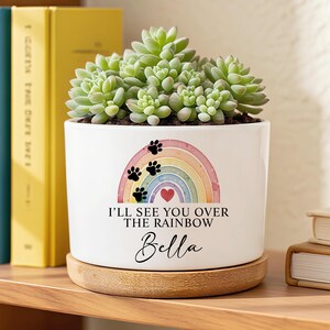 Könnte beinhalten: Weißer Keramik-Pflanztopf mit einer Sukkulente. Der Topf hat ein Regenbogen-Design mit Pfotenabdrücken, einem Herzen und dem Text "I'll See You Over The Rainbow" und dem Namen "Bella". Er steht auf einer Holzuntertasse.