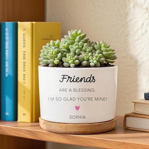 May include: A white ceramic planter with a succulent plant. The planter has the text "Friends ARE A BLESSING. I'M SO GLAD YOU'RE MINE!" and a pink heart. A wooden coaster sits beneath the planter. The name "Sophia" is printed below the heart.