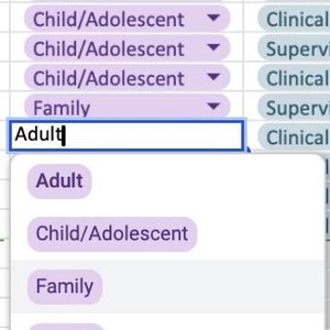 Effortless Tracking Tool for Therapy Interns - Stay Organized with Google Sheets Log