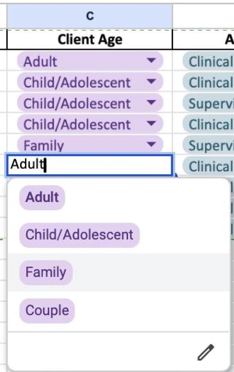 Effortless Tracking Tool for Therapy Interns - Stay Organized with Google Sheets Log