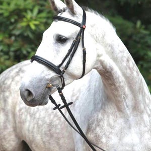 Black Leather Snaffle Bridle with Reins | English Horse Bridle for Riding & Dressage | Handmade Padded Bridle with Bit Attachment