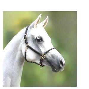 Black Leather Horse Halter | Lightweight Show Halter with Brass Hardware | Adjustable Stable Halter | Pony, Cob, Full, Draft Sizes