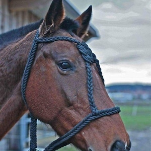 Braided Rope Halter for Horse | Adjustable Handmade Training Halter | Natural Horsemanship Gear | Soft Durable Knot Halter | Parelli Style