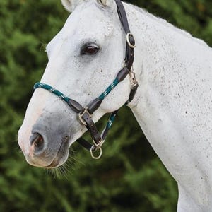 Rope Horse Halter with Leather Crown | Adjustable Nylon Halter | Daily Use Horse Halter | Padded Halter for Horses