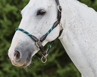 Cabezada de cuerda para caballo: Corona de cuero, nailon ajustable, acolchada.