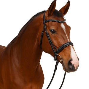 Handmade Leather Horse Bridle with Crystal Browband – English Riding Bridle with Reins – Comfortable & Durable Equestrian Tack