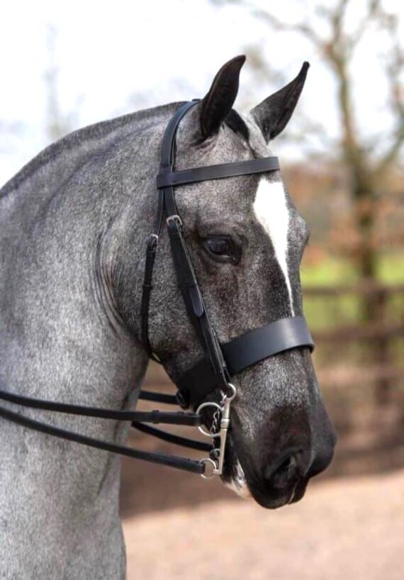 headpiece for horses