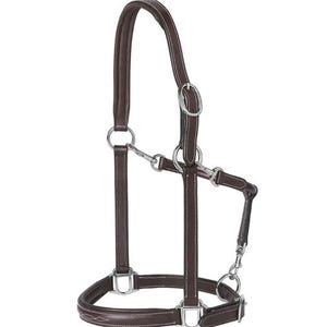 Padded Leather Horse Halter | Adjustable Brown Halter with Silver Hardware | Soft Cushioned Horse Headcollar | Equestrian Tack Gear