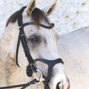 Anatomical Leather Horse Bridle | Bitless Padded English Bridle with Reins | Black Comfort Bridle for Dressage or Training