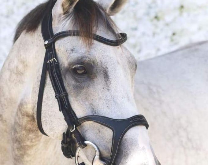 Anatomical Bridle - Verity Bit Lifter for Mouthy / Sensitive Horse ...