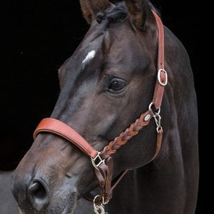 Premium Leather Horse Halter | Braided Cheek Stable Halter | Adjustable Lead Halter | Show Halter for Horses | Handmade Horse Tack