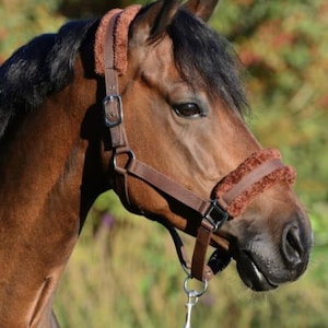 Brown Padded Horse Halter | Teddy Fleece Headcollar | Adjustable Soft Halter for Cob & Full | Comfortable Padded Noseband
