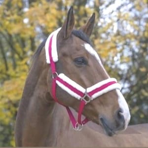 Red Fleece Padded Horse Halter | Soft Sheepskin Lined Headcollar | Adjustable Comfort Halter | Stable or Turnout Halter | Anti-Chafe Design