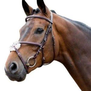 Grackle Bridle – Jumping Horse Bridle – Padded Noseband – Sheepskin Cross Bridle – Leather Eventing Tack – No Reins