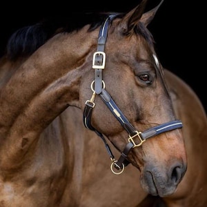 Padded Leather Horse Halter | Adjustable Nylon Web Halter | Breakaway Halter for Horses | Halter Only | Lead Rope Not Included