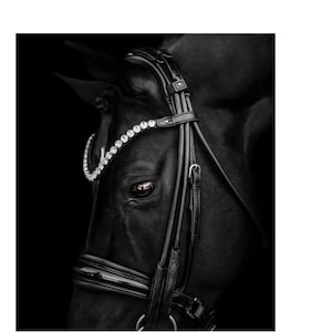 Crystal Dressage Bridle with Reins | Handmade Black Leather Horse Bridle | No Bit | English Riding Bridle | Elegant Equestrian Tack