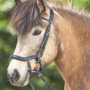 Black Leather Snaffle Bridle | Padded Noseband | English Horse Bridle | Bit Included | No Reins | Adjustable Headstall