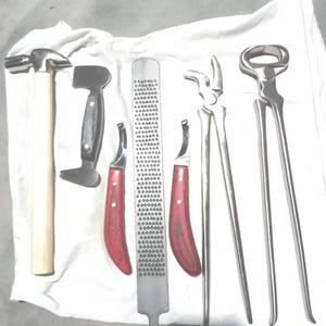 Kit profissional de ferreiro para cavalos – Conjunto de 8 peças para aparar cascos | Martelo de ferreiro, lima, alicate, faca para cascos e muito mais